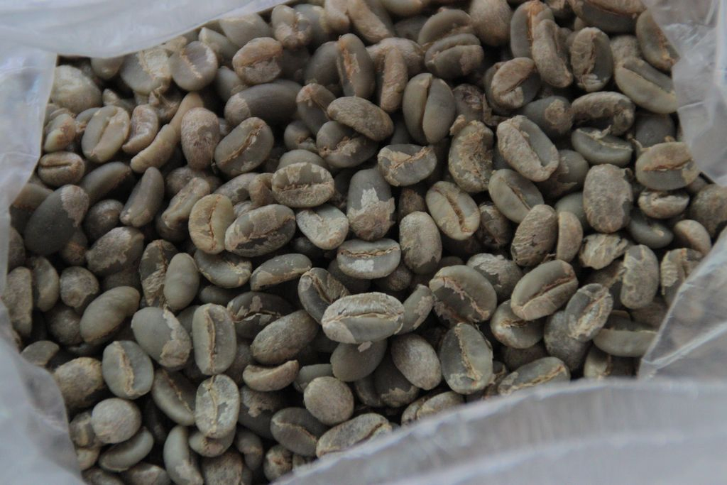 烏干達Agros咖啡生豆進口