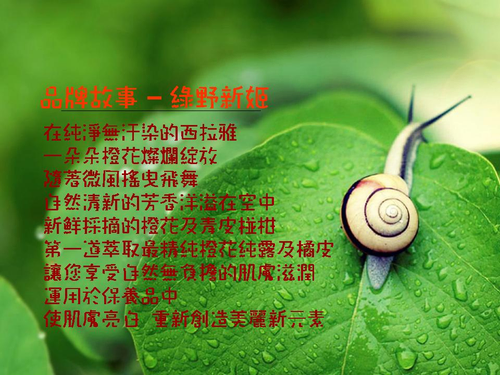 品牌故事