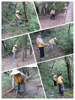 解決花草樹木之疑難雜症、移植珍貴老樹、社區大廈庭園植栽設計