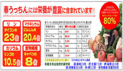 日本食品分析調查:春鬱金含有豐富的礦物質是我們補充營養品的最佳選擇
