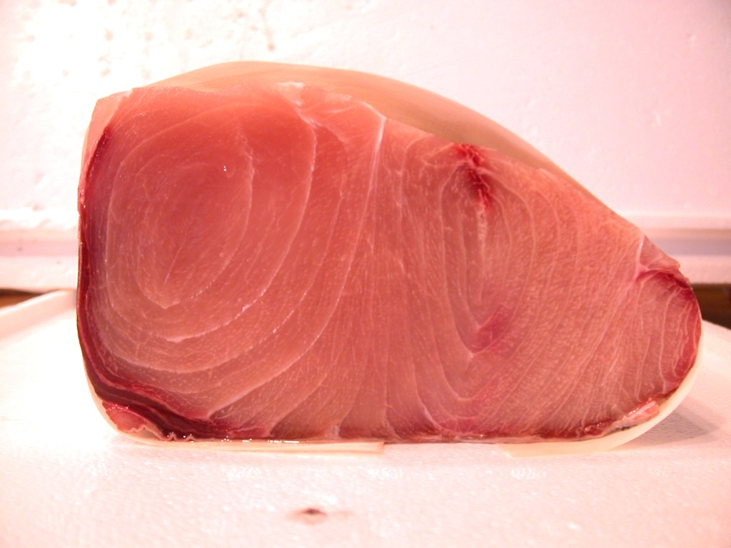 旗魚生魚片～旗魚排～旗魚肉