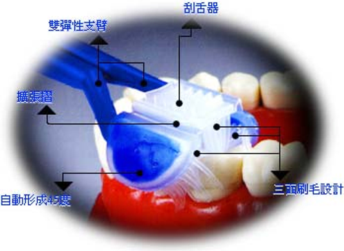每刷一次就刷到三個牙面