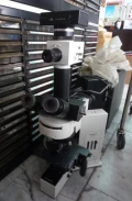 顯微鏡(螢光) Olympus BX50-32H01