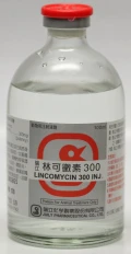 瑞立林可黴素 300 注射液