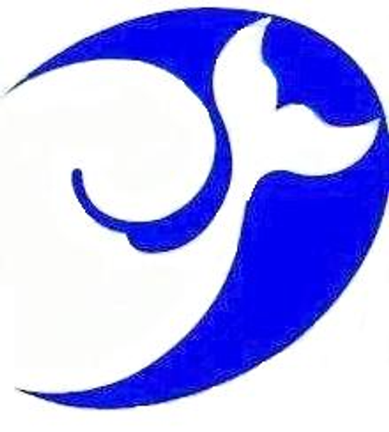 機票,簽證,飯店代訂,國內外旅遊,自由行