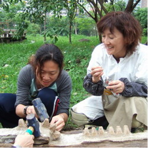藝術推手