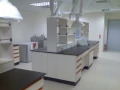 實驗室設備-實驗桌-排煙櫃-藥品櫃