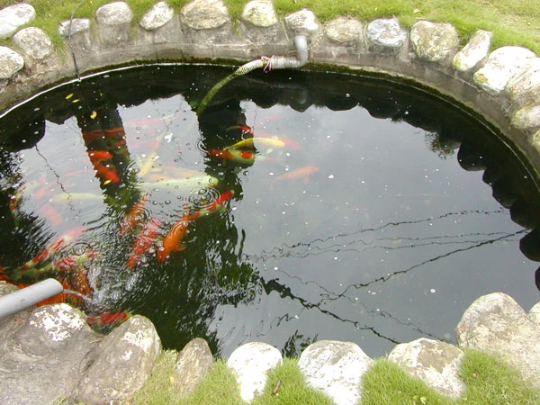生態魚池過濾、景觀魚池過濾