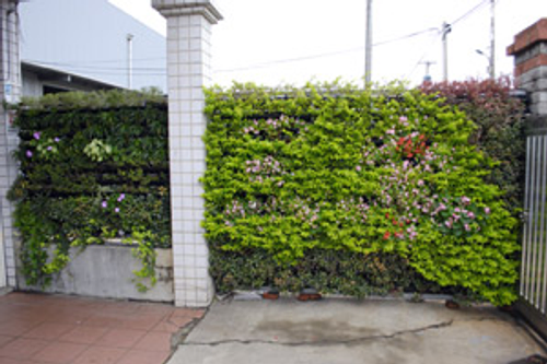植生牆