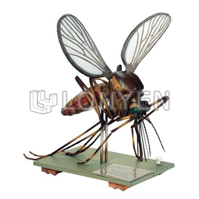 SOMSO 蚊子模型
