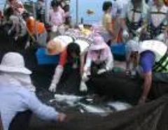 澎湖元貝海洋觀光牧場 YUANBEI
