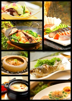 藏酒季節料理