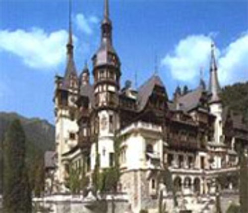 天星旅行社有限公司