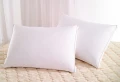 MIT 商用長纖蓬鬆化纖枕 (台灣製造)