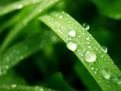 湛藍環水科技有限公司
