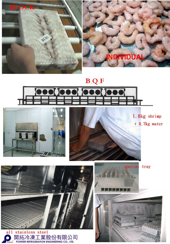 開拓 塊狀連續急速凍結設備 BQF