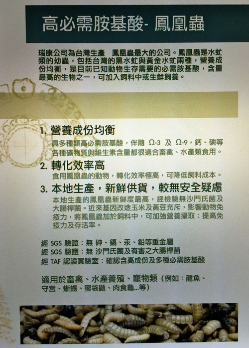 鳳凰蟲®