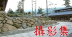 震隆電子商行